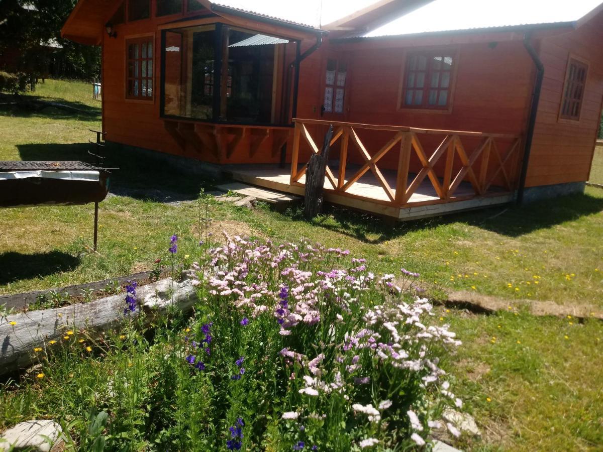 Cabanas Los Canelos Hermosa Granja En Pucón Exteriér fotografie