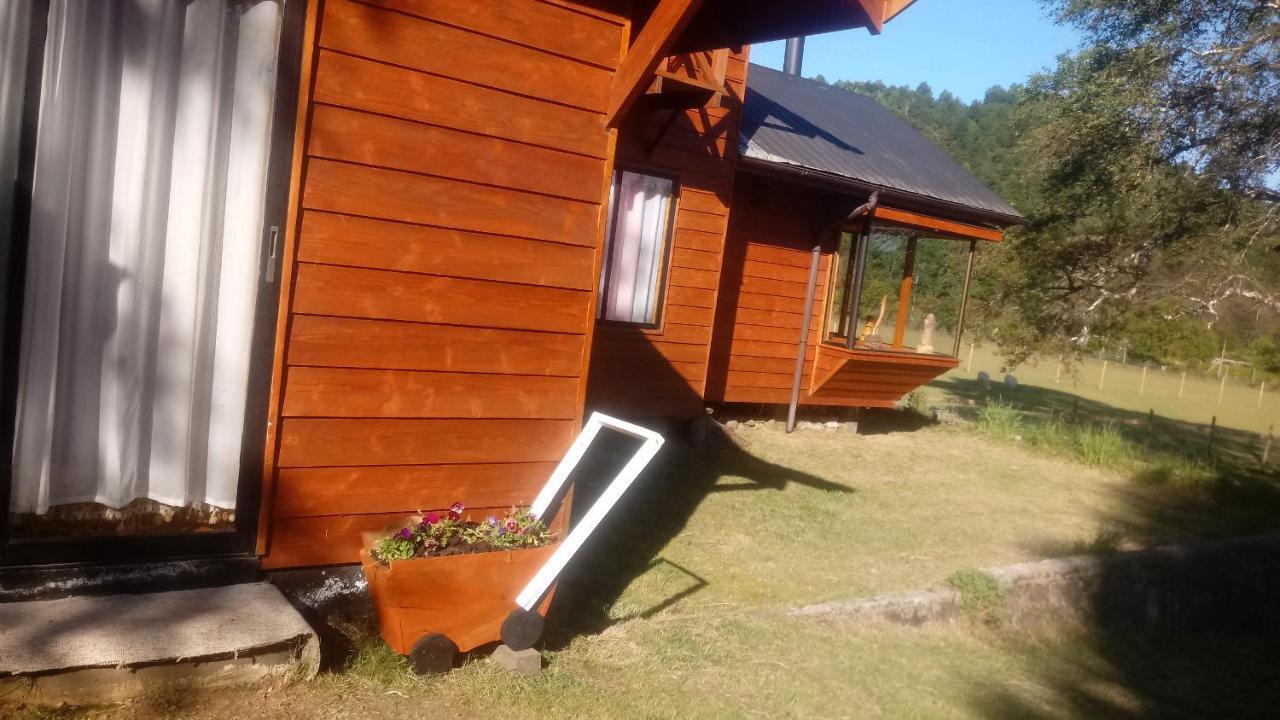Cabanas Los Canelos Hermosa Granja En Pucón Exteriér fotografie